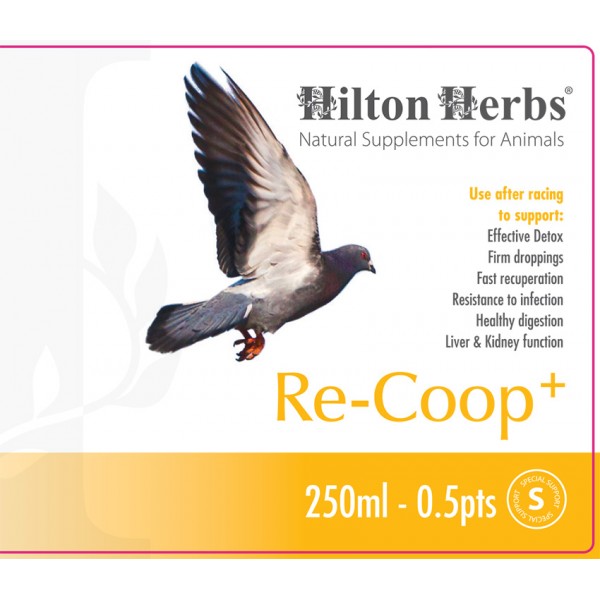 Re-Coop+ - 0.5pt Bottle Back Label